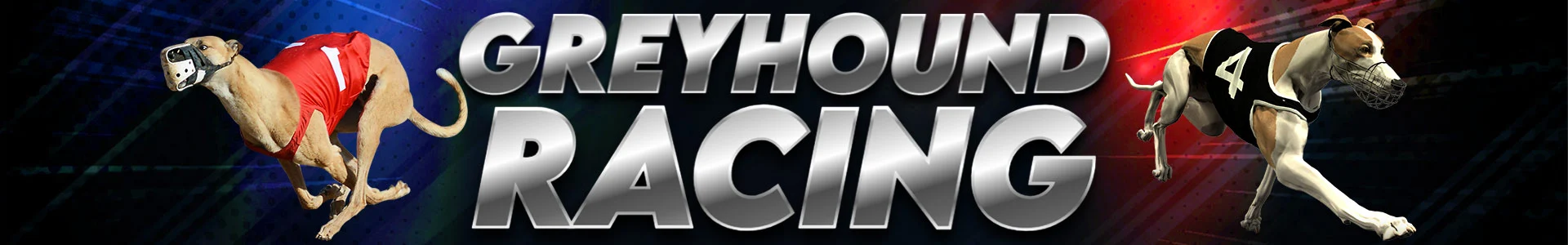 Grayhound Racing
