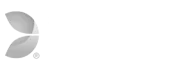 evolution